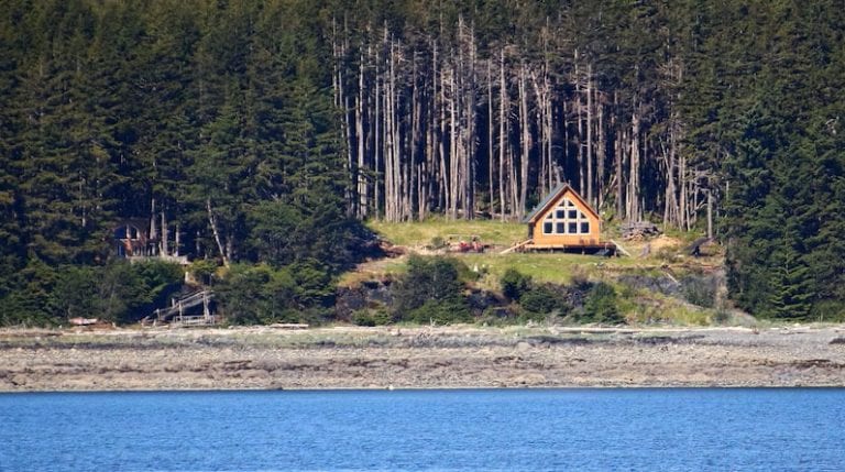 Reasons to Live Off the Grid and Become Self-Reliant