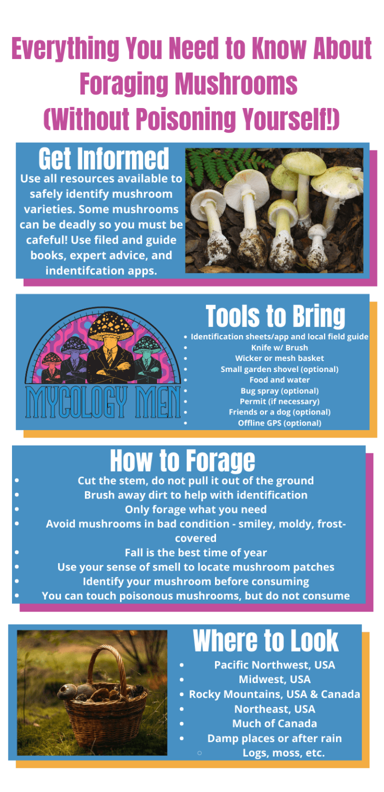 Foraging Guide
