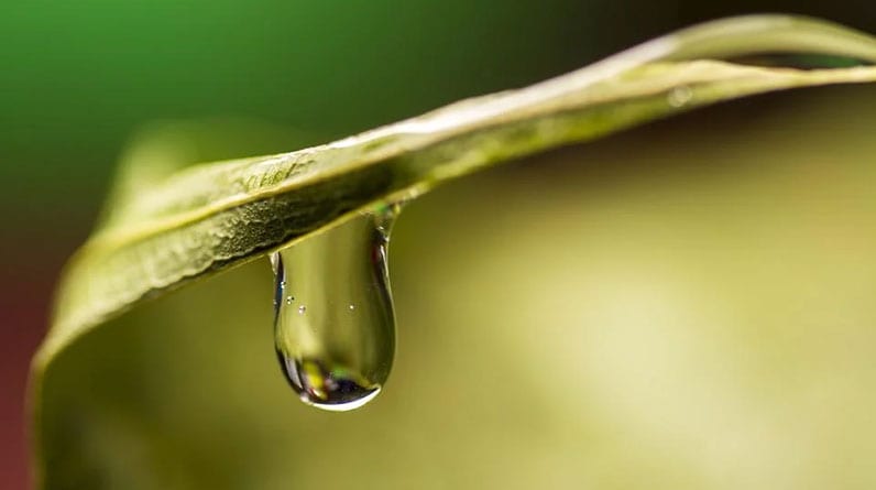 The Best Places to Find Freshwater Sources