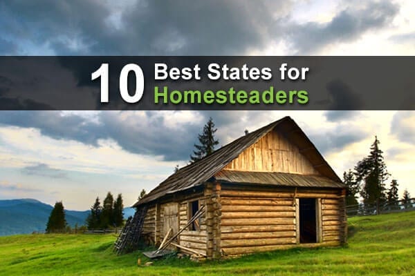 How to Live Off the Grid With No Money