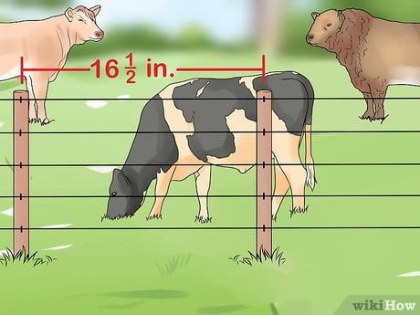 Livestock Farming