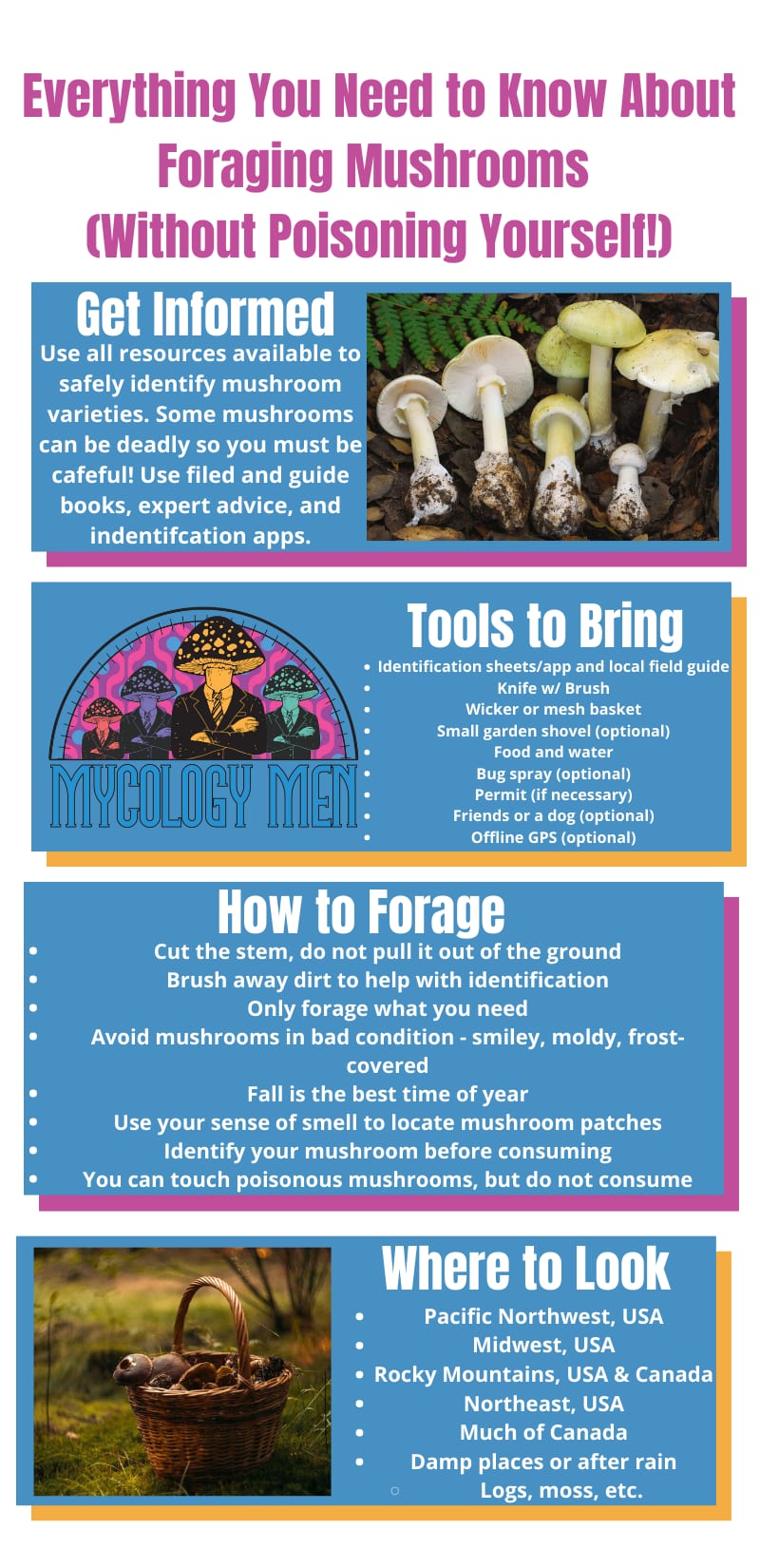 Foraging Guide
