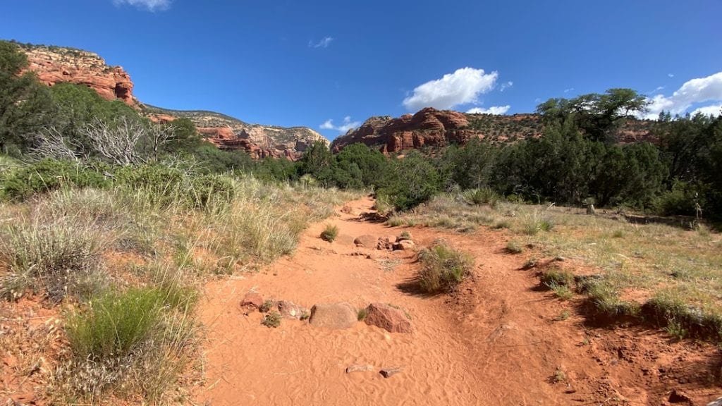 Wilderness Survival Tips